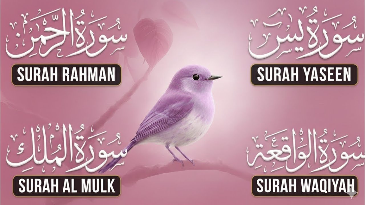 Calm & Heart-Soothing Quran Recitation | Surah Yaseen • Surah Rahman • Surah Waqiah • Surah Mulk