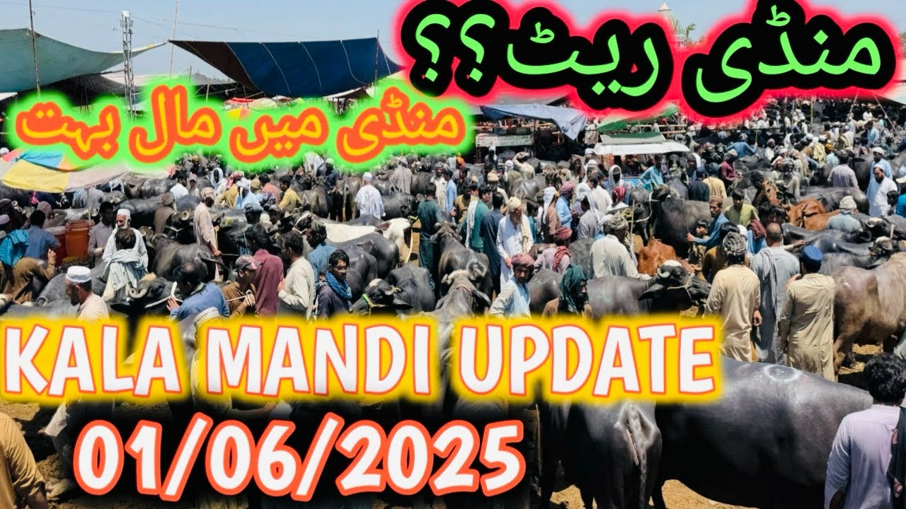 Kala Mandi Peshawar 01/06/2025 Latest Update | Mandi mei bht Mall hey