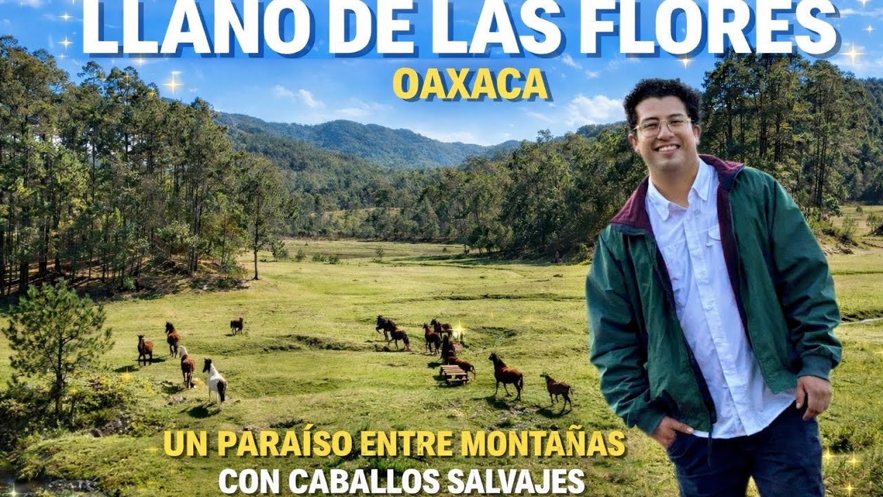 LLANO DE LAS FLORES : El Para&iacute;so Escondido de Oaxaca | Ecoturismo y Aventura 
