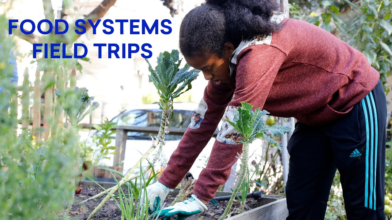 Eighth Graders Explore Food Systems Through Community Service Learning Trips