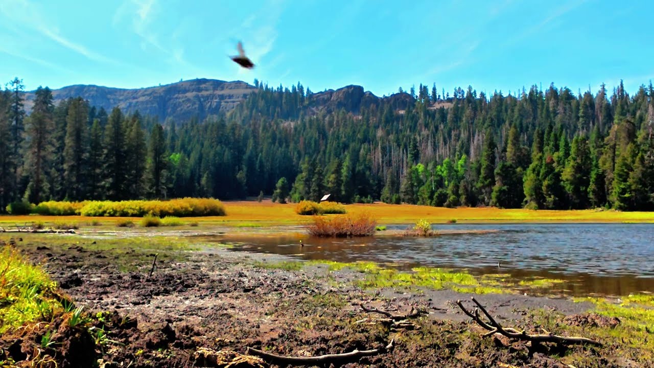 Peaceful Fall at Duck Lake 🍂 3 Hours of Natural Wind Sounds | 4K Relaxation Video