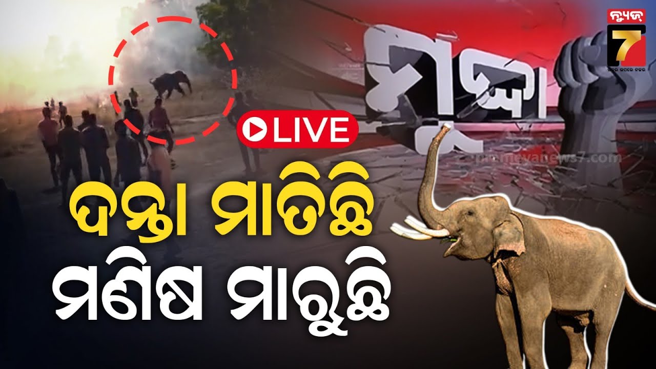 MUDDA | ମାଡ଼ି ଆସୁଛି ଝାଡ଼ଖଣ୍ଡର କିଲର୍ ହାତୀ | Human-Wildlife Conflict | PrameyaNews7
