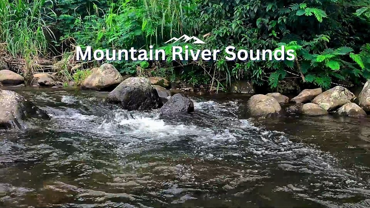 Sleep ASMR + Forest River Sound — Deep Sleep in Minutes
