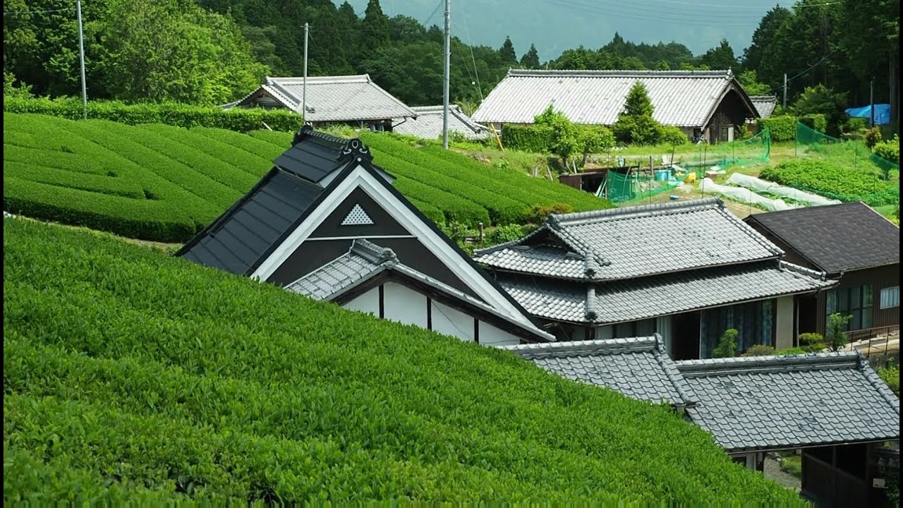 猿が遊ぶ南山城村の高尾集落【京都の田舎散歩・農村集落の風景】walking. Minamiyamashiro Village Takao, Kyoto, Japanese Village