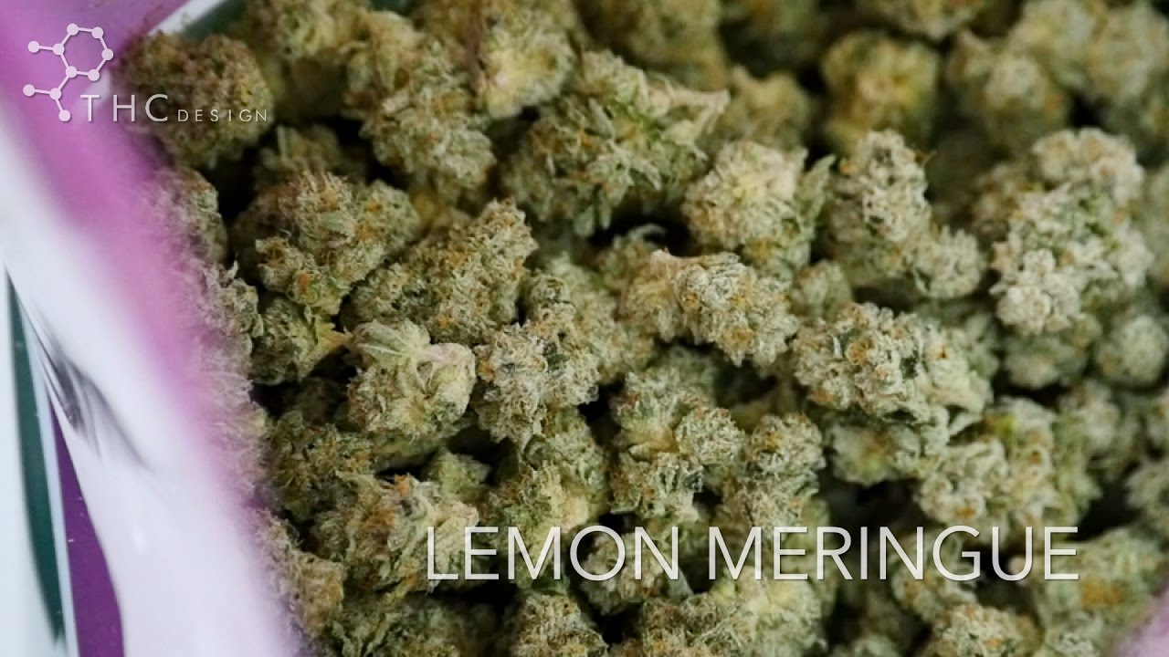 THC Design : Lemon Meringue