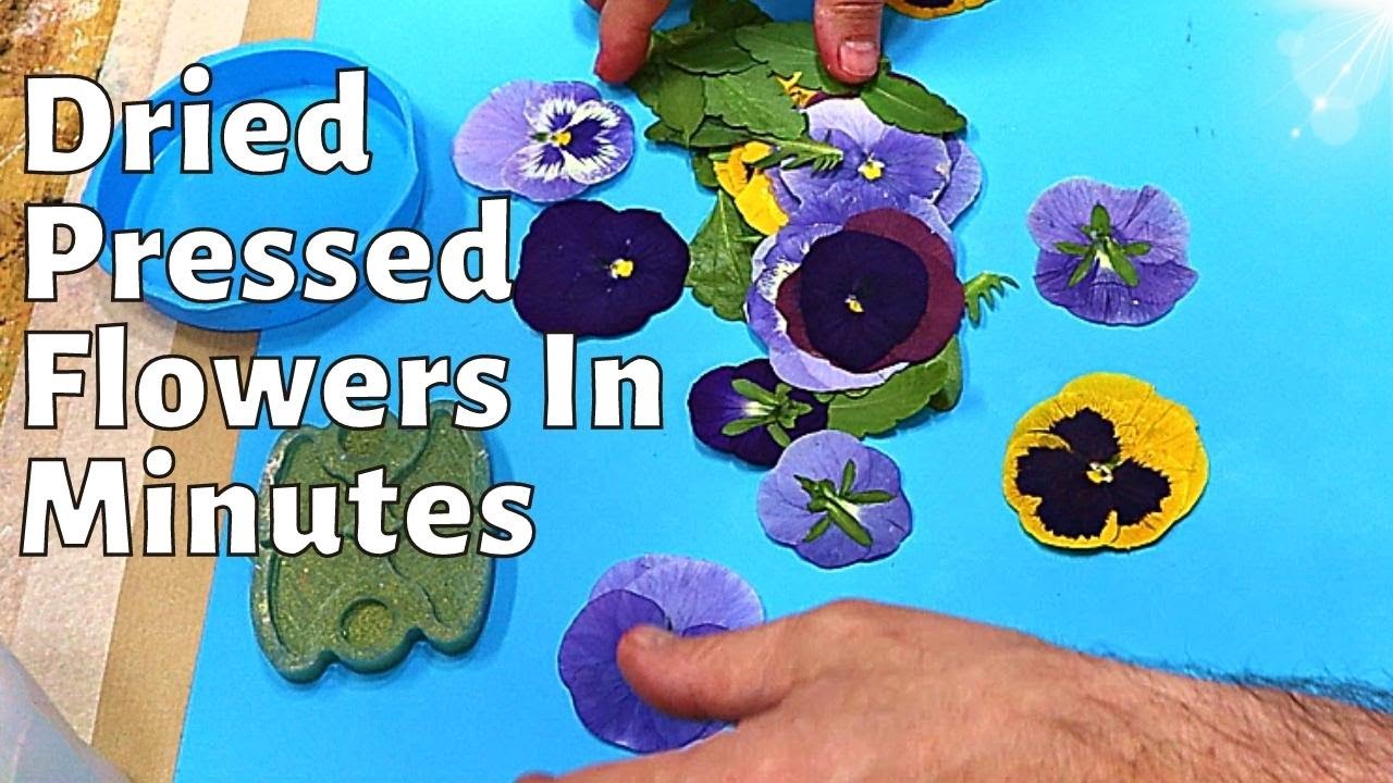 A Must Have If You Want To Quickly Dry & Press Flowers
