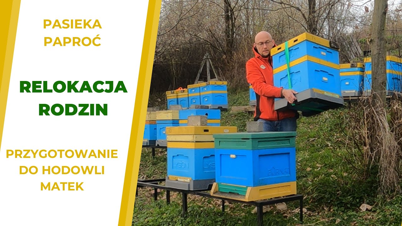 Pasieka Paproć - relokacja rodzin przed sezonem hodowlanym