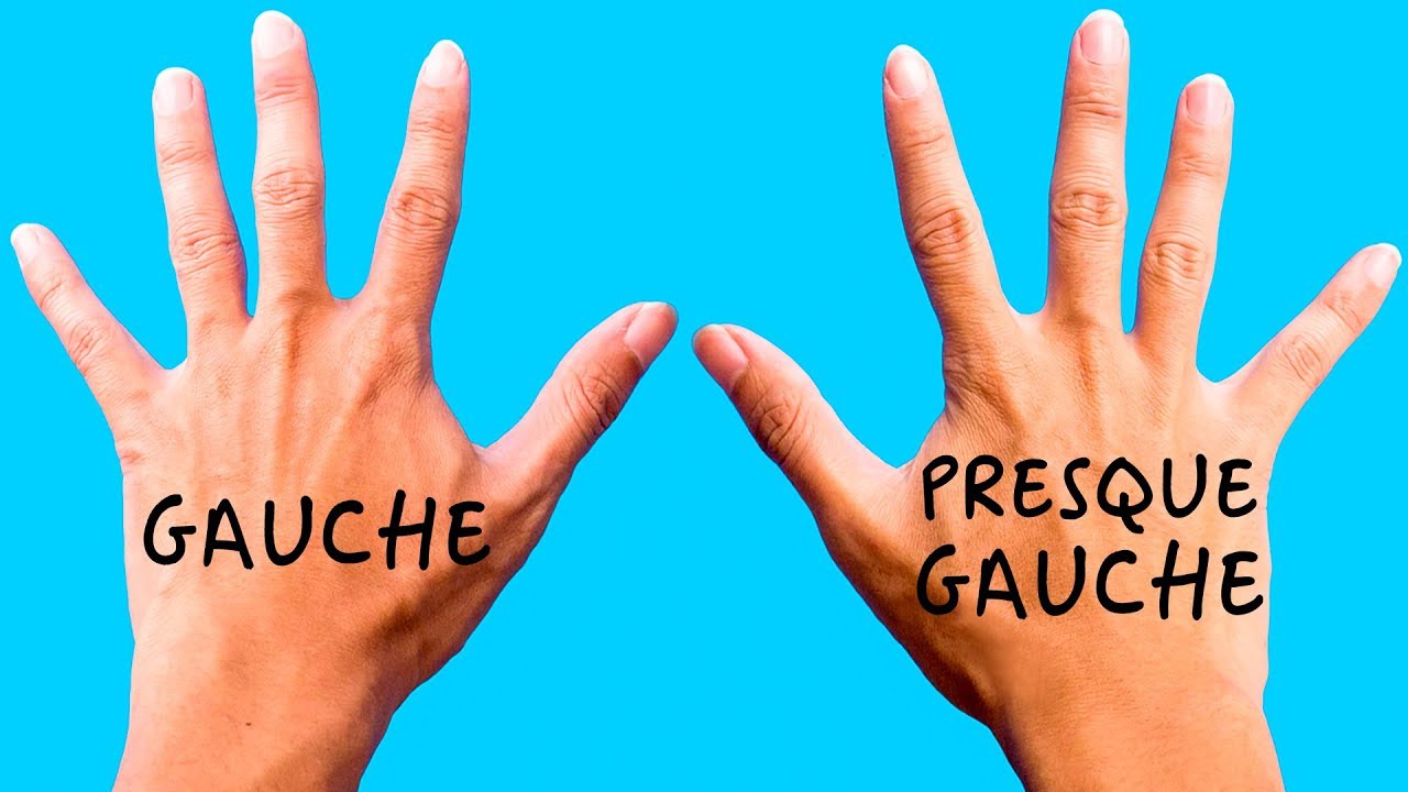 12 Signes de Haute Intelligence Que tu Possèdes Probablement