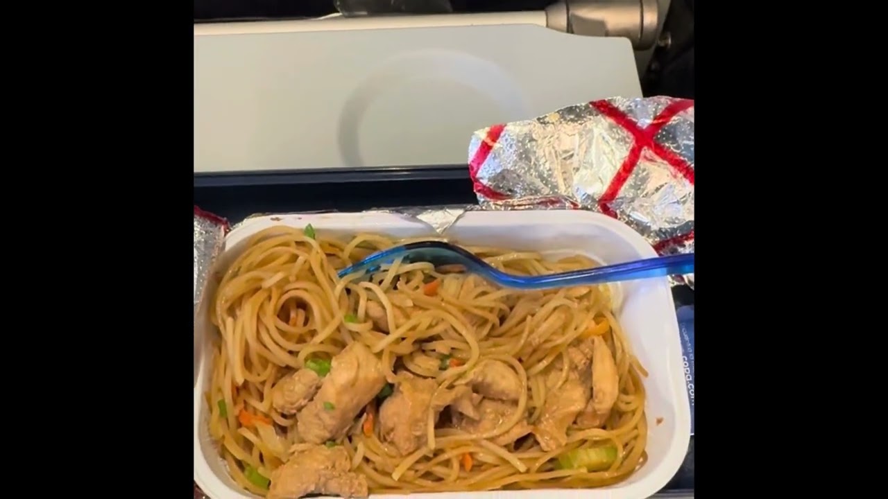 Nice for a change to get a hot meal on Copa airlines flying from the US to Panama plus 1 free bag.