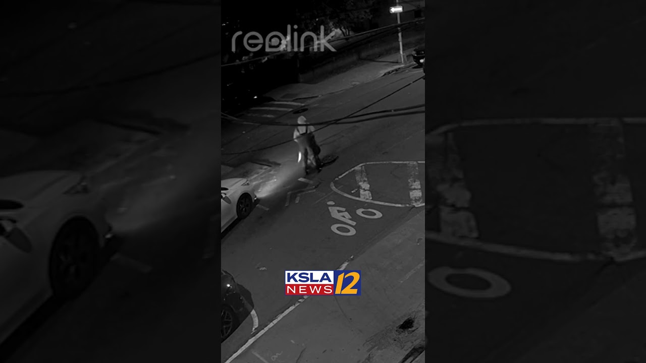 Videos of groups of people entering NYC sewers at night baffle residents and investigators 🕳️