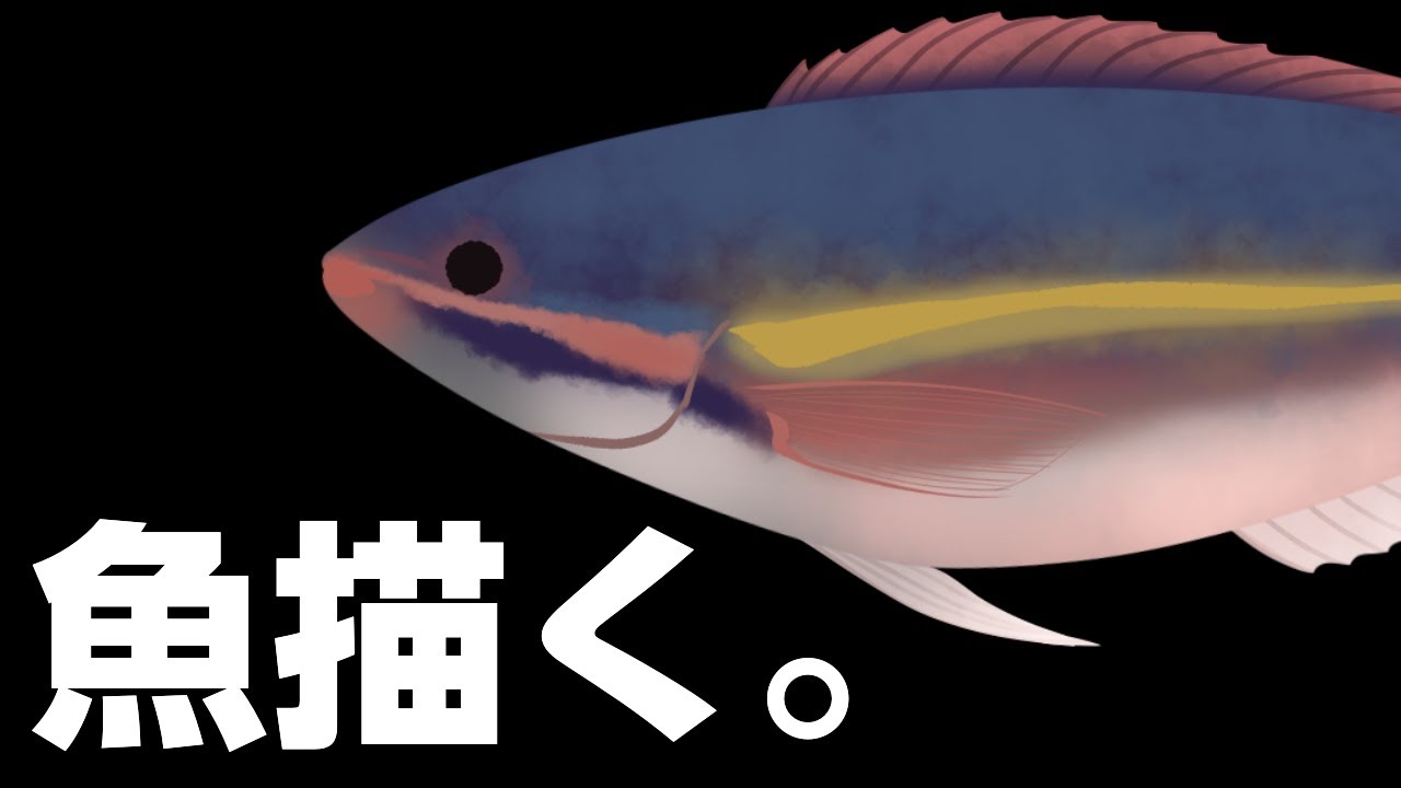 【お絵かき配信】ドジョウはドジョウでもこれは別物！よく見ると超オシャレなドジョウにご注目👀✨【Fish Drawing】 ＃にたりん電波あり #個人勢VTuber