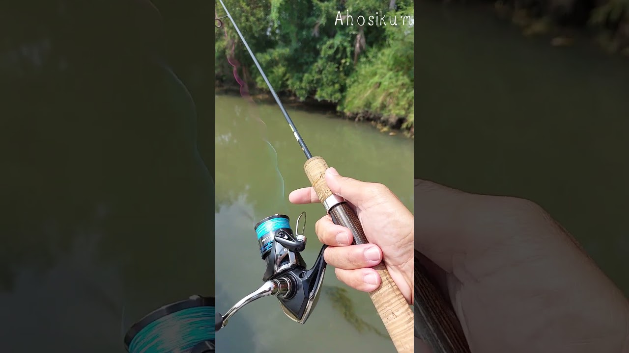 Shimano Nexaev C200S #fishing #shimano #nexave #spinning