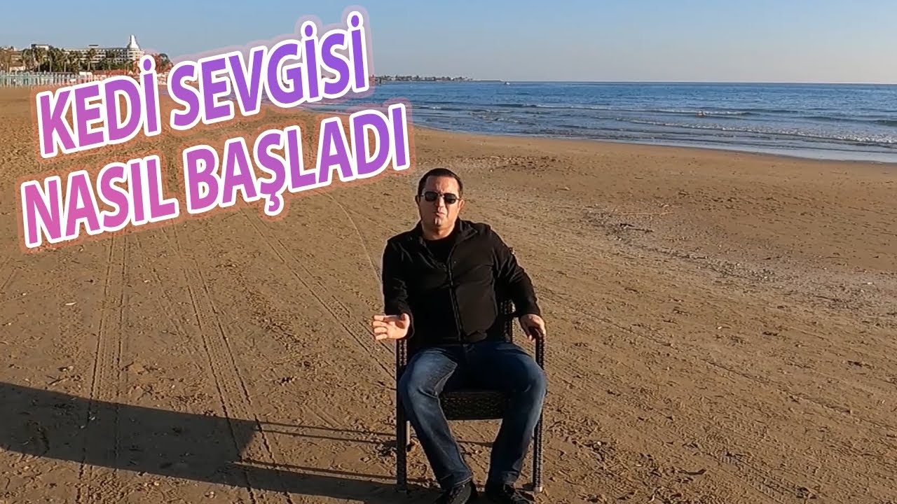 Kedi Sevgisi Nasıl Başladı @CatsandGold