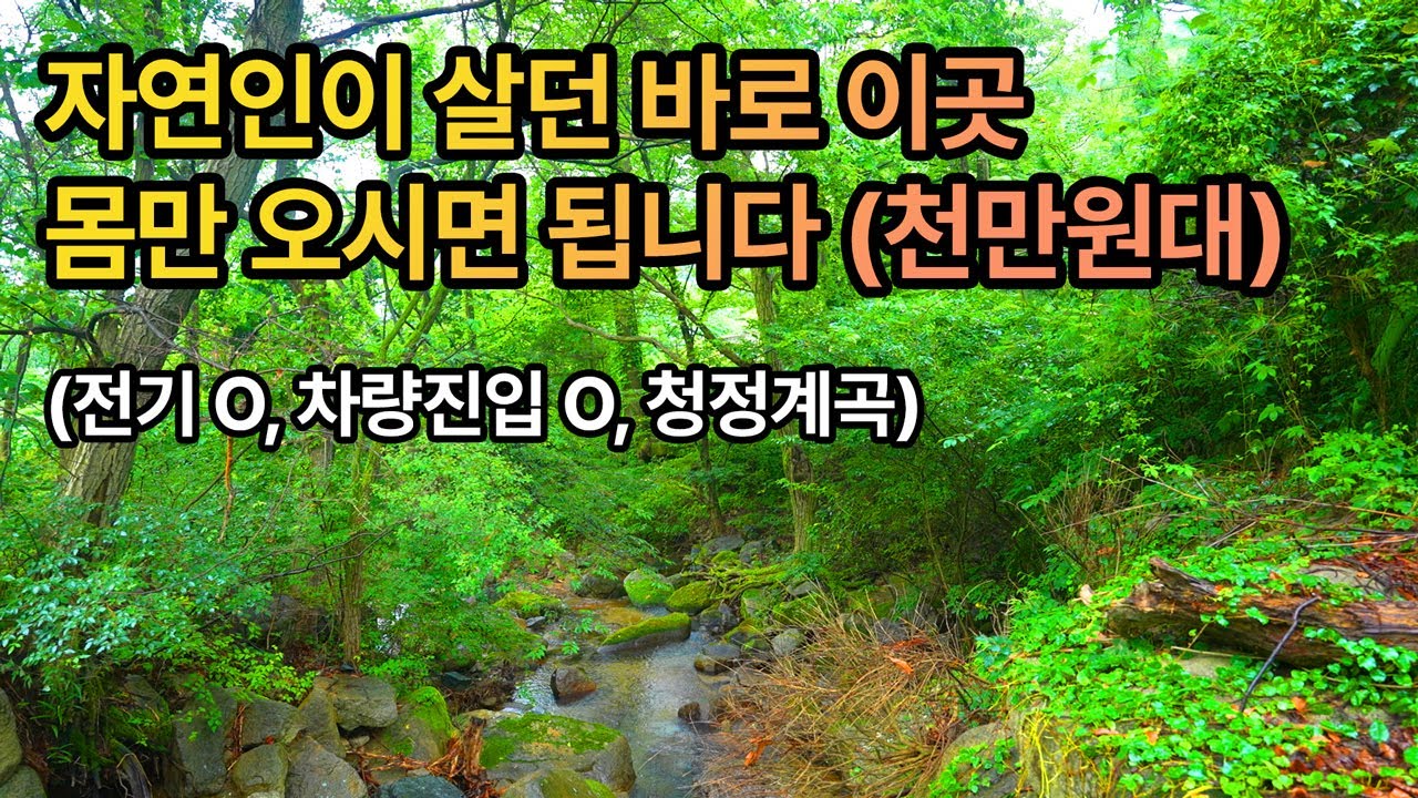 자연인이 살던 바로 이곳 몸만 오시면 됩니다 (천만원대)