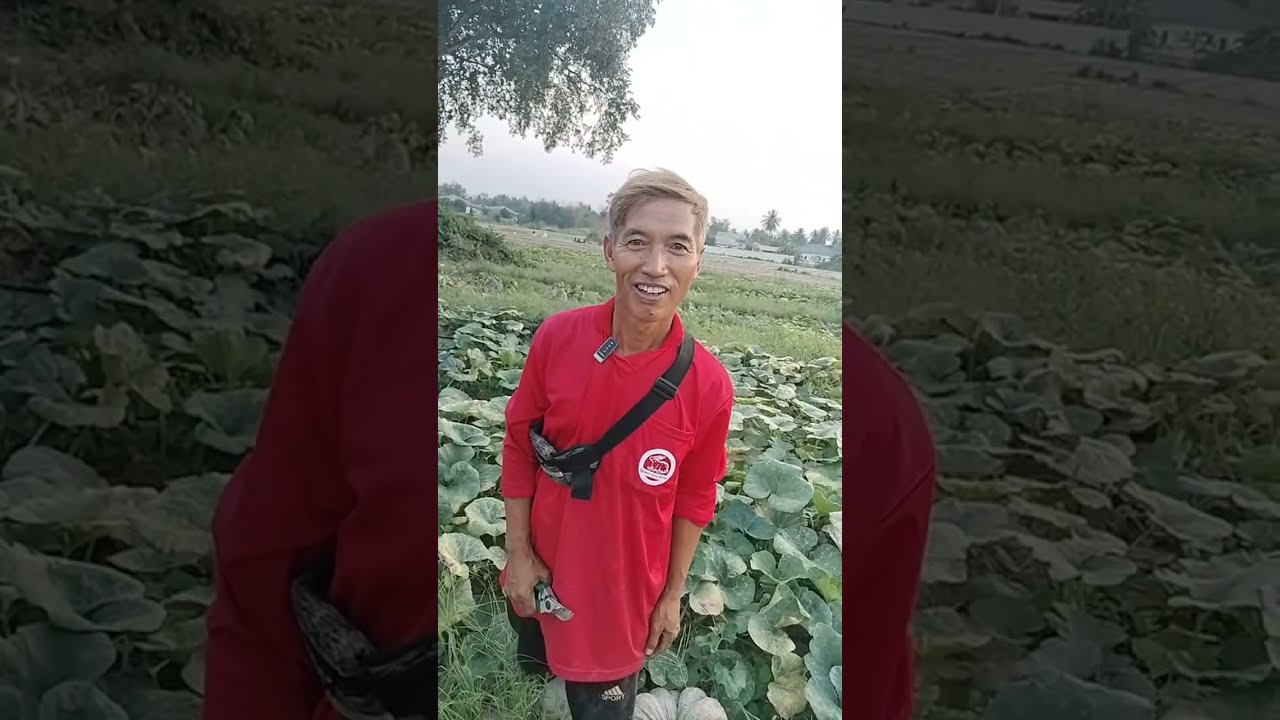 เกษตรกล้วยๆ กำลังถ่ายทอดสด!