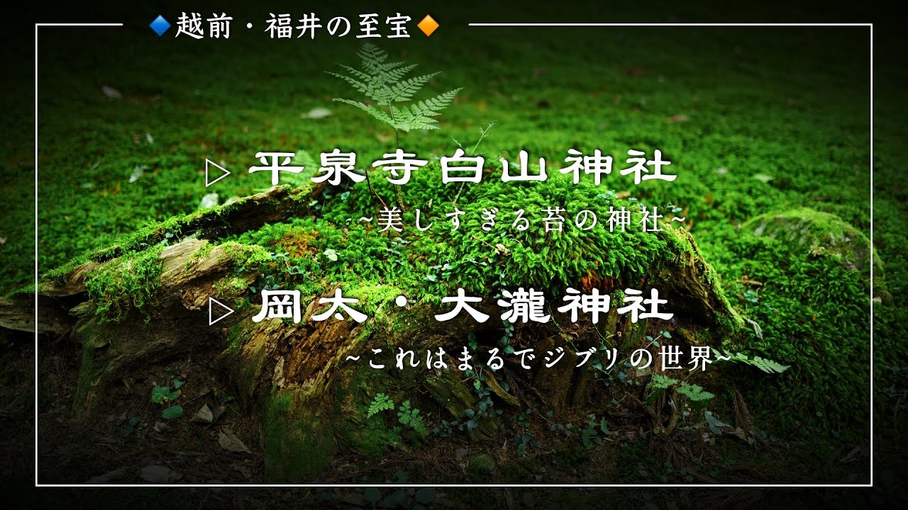 【越前・福井の至宝】美しい苔の平泉寺白山神社と日本一怪異な岡太・大瀧神社／ジブリの世界を体験できます！Heisenji-Hakusan-Jinja/Okamoto-Ohtaki-Jinja