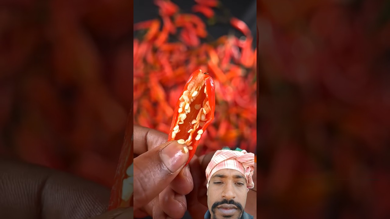 🌶️🌶️🌶️🌶️🥗mukbang 