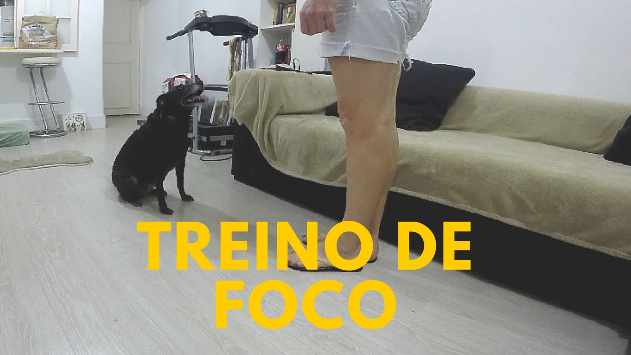 Treino de foco