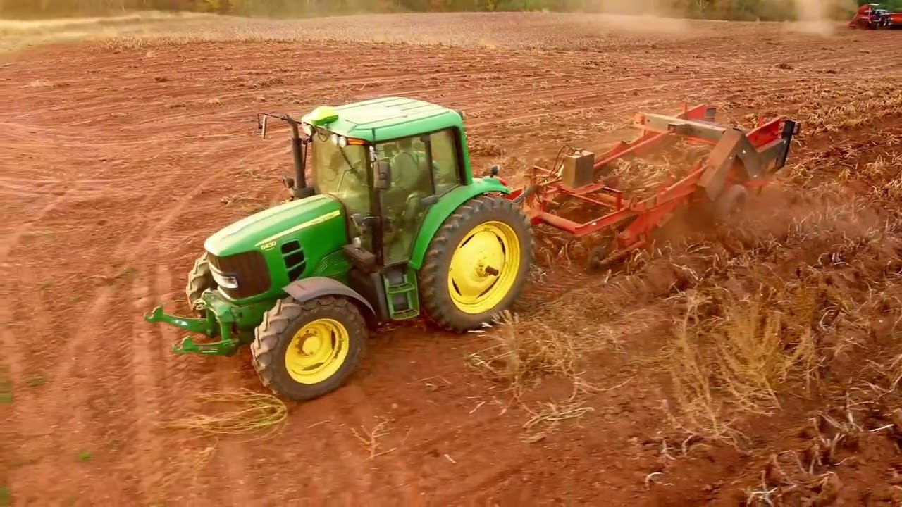 Potato Harvest 🥔 