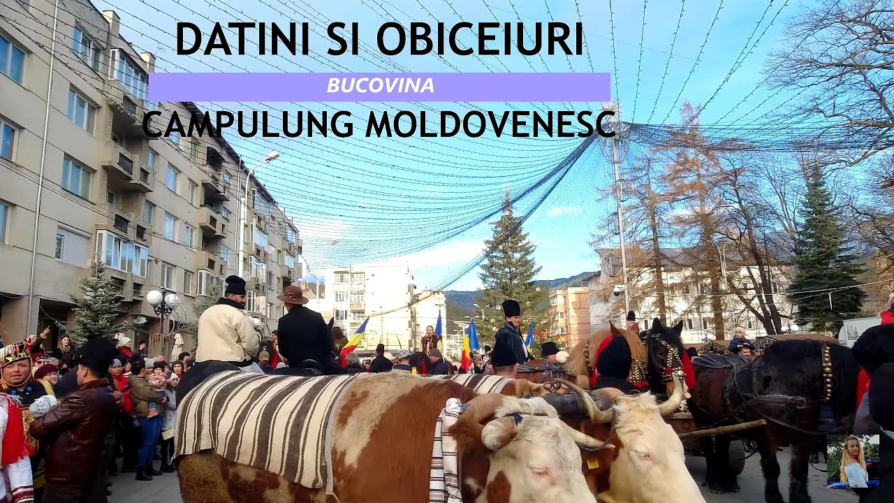 DATINI SI OBICEIURI DIN BUCOVINA - CAMPULUNG MOLDOVENESC 2022 [4K]