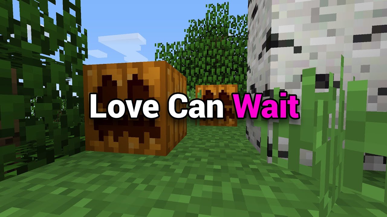 Love Can Wait
