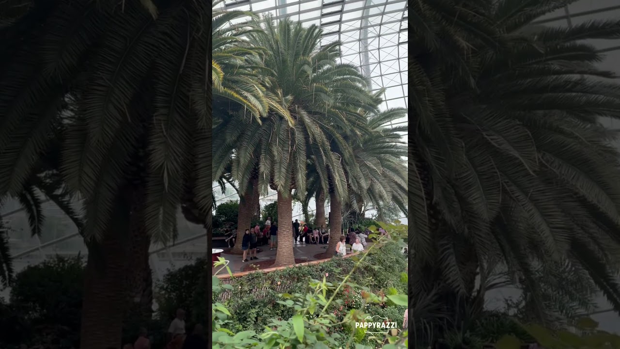 The breathtaking Flower Dome, Singapore. #singapore #tourism #nature #flowers #flowerdome #travel