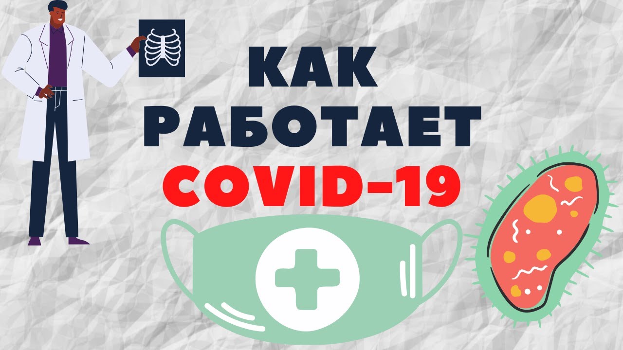 Говорим про коронавирус (COVID-19, SARS-CoV-2): этиология, пути передачи, патогенез