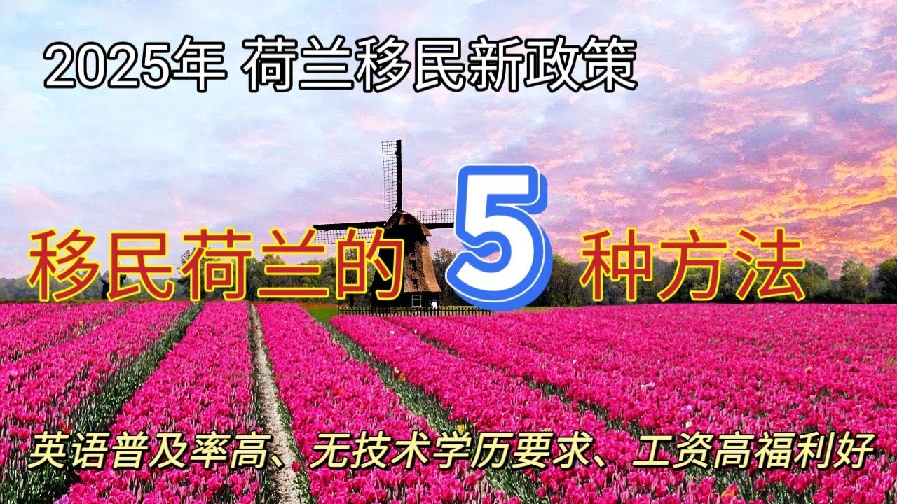 #2025年荷兰最新移民政策分享 #如何移民荷兰，移民荷兰有哪些方法 #荷兰普通人如何移民，福利好工资高 #欧盟蓝卡，配偶可以直接同时申请，未成年孩子同行 #荷兰移民全面分享优缺点对比 #荷兰 