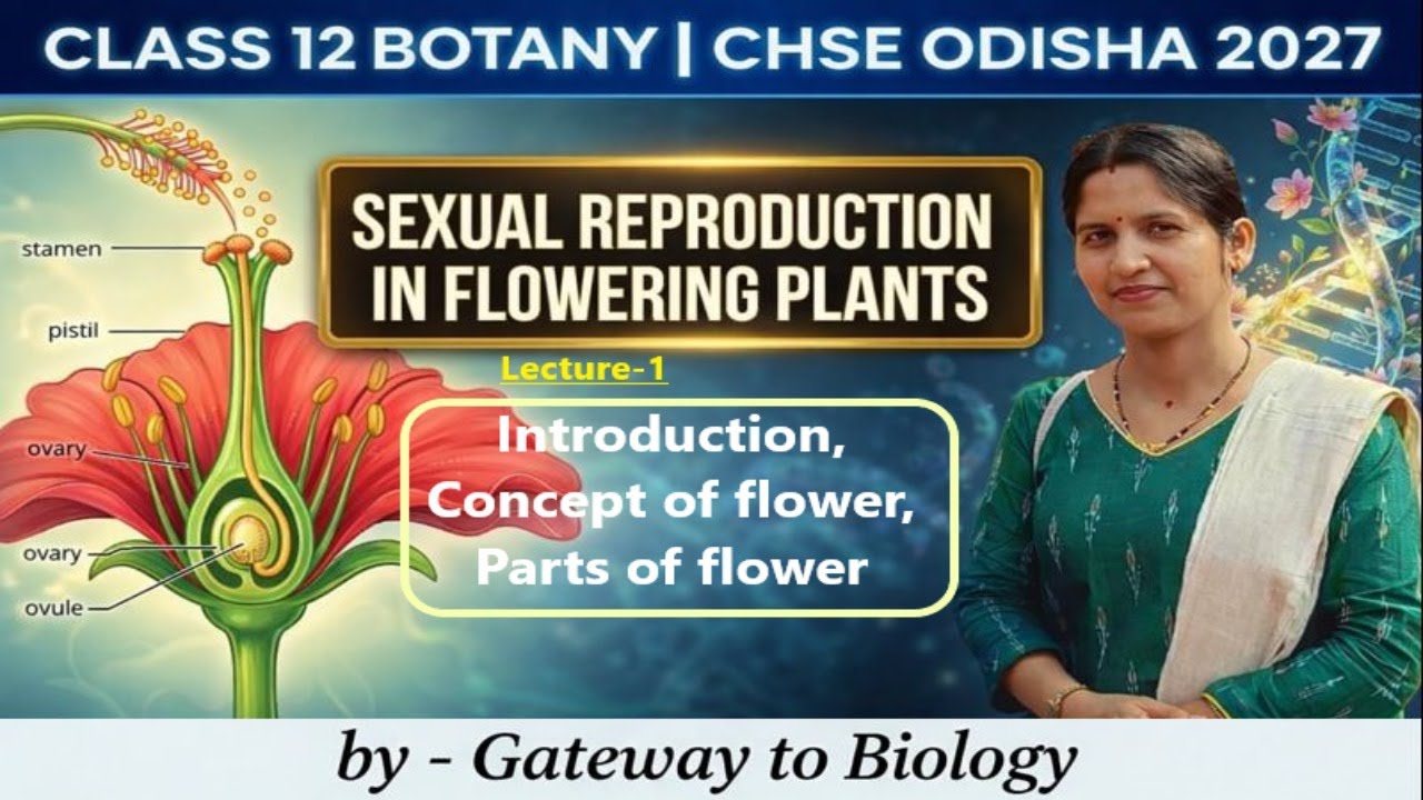 Concept of Flower | Lecture-1 | Sexual Reproduction in Flowering Plants 🔬GB Ma'am@gitasbiology​