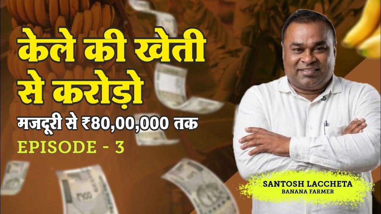 केला खेती का आधुनिक तरीका | संतोष लच्छेटा | भारतीय किसान डॉक्यूमेंट्री