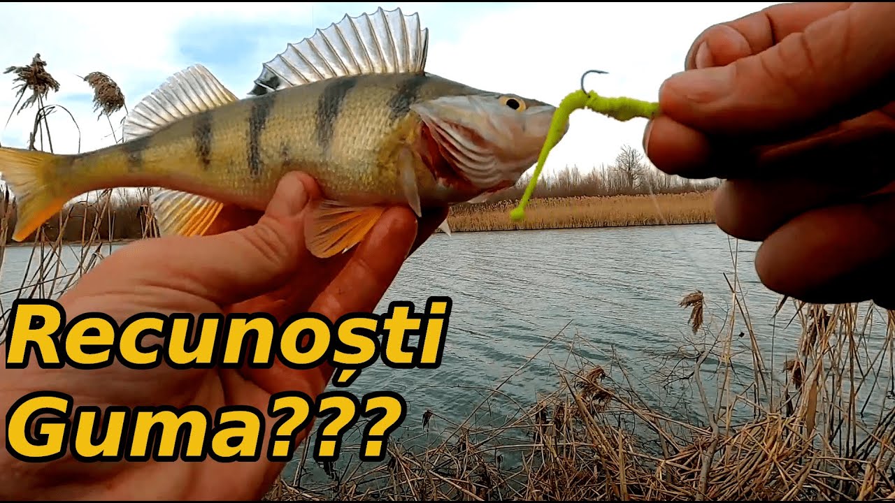 Am Prins Mulți Bibani la Dropshot cu o Gumă Găsită pe Mal