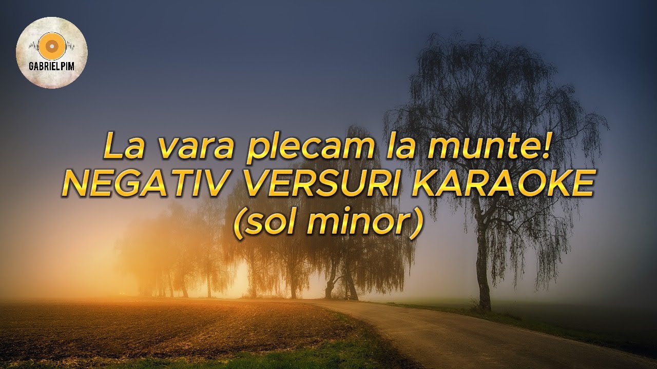 LA VARA PLECAM LA MUNTE SI EU SI NASU! NEGATIV VERSURI KARAOKE (sol minor) COVER