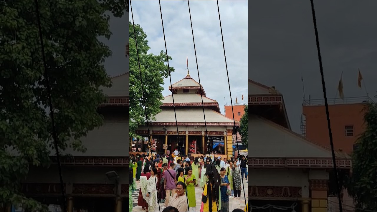 Short Vlogs #travelvlog #vlog  #video #bikrant #viral