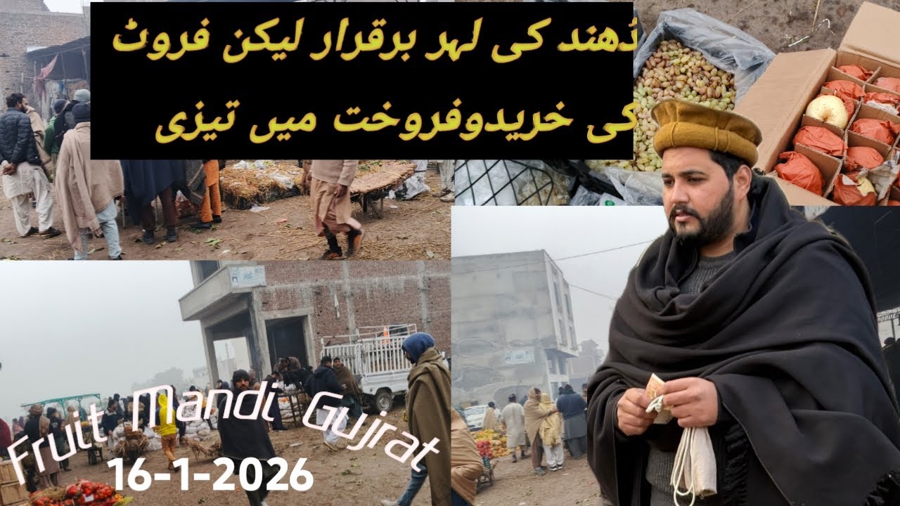 Fruit Mandi Gujrat Roz ki taza update 16-1-2026