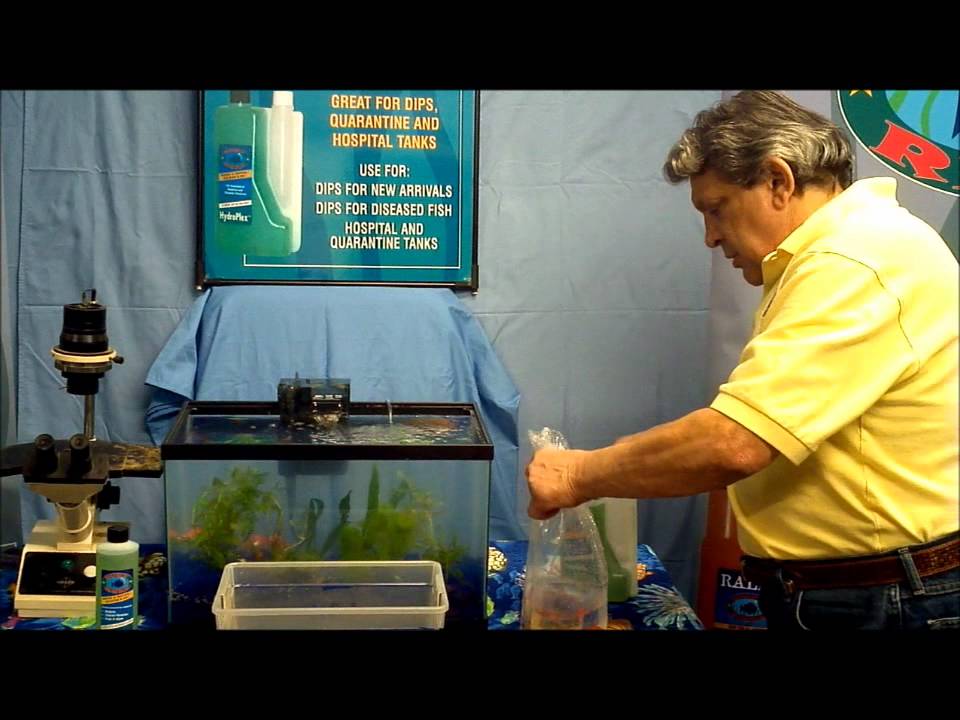 Ruby Reef HydroPlex Demonstration.wmv