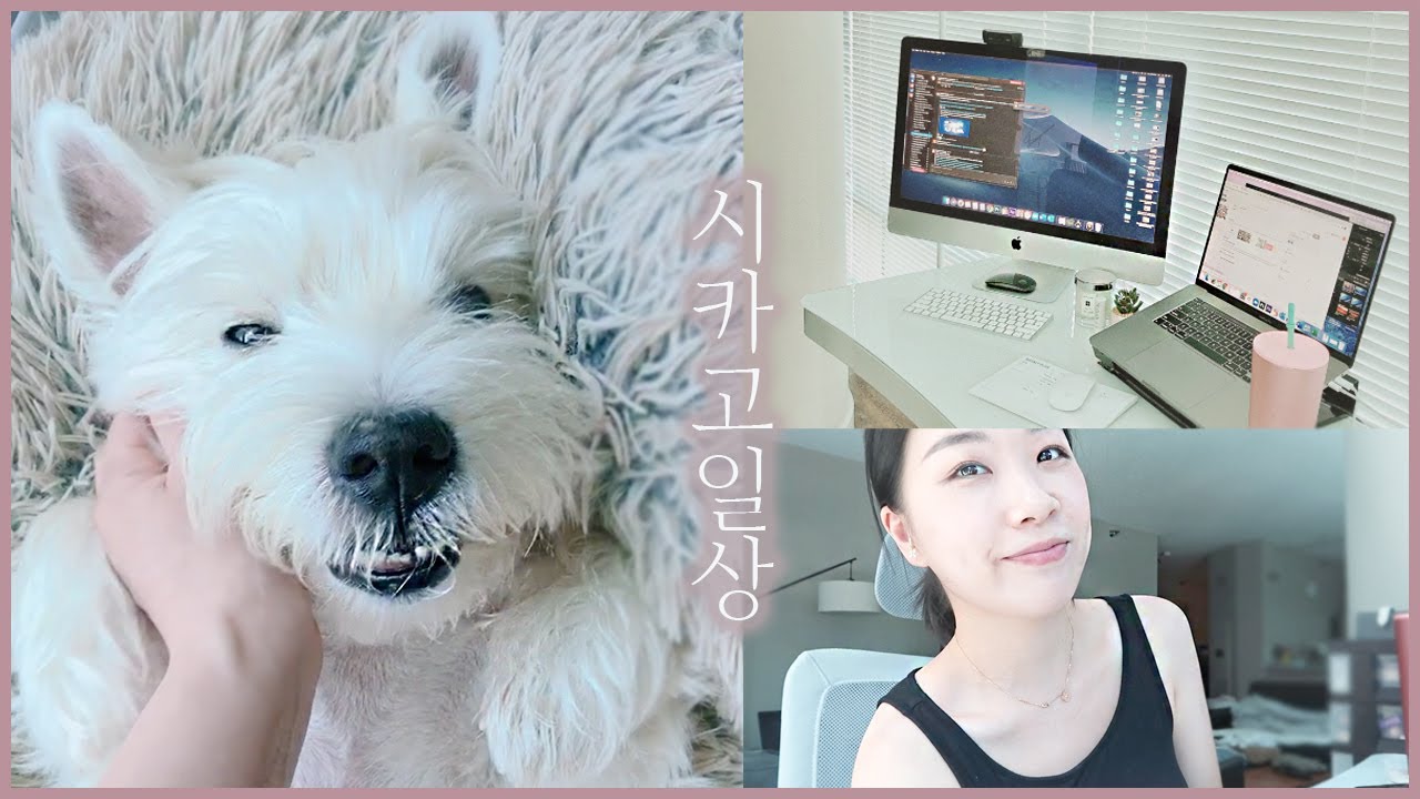 [IT직딩 VLOG] 아침6시24분 시작하는 재택근무 일상, 피부 뒤집힘 완젼 꿀템, 마케팅 일 소개, 스벅리저브 #먹방 #또먹방