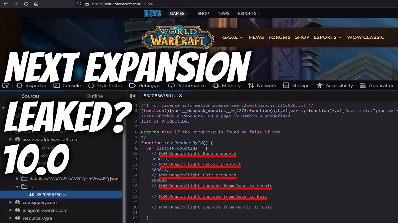 World of Warcraft Dragonflight | Next WoW Expansion Leaked?