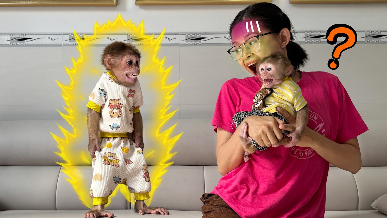 Lucky suddenly goes crazy, making Mom and Sunny break into a sweat! What&rsquo;s going on?