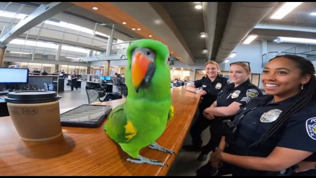 This Talking Parrot Ran a Police Investigation… Over Snacks 😂🦜#TalkingParrot #FunnyPolice #POVComedy