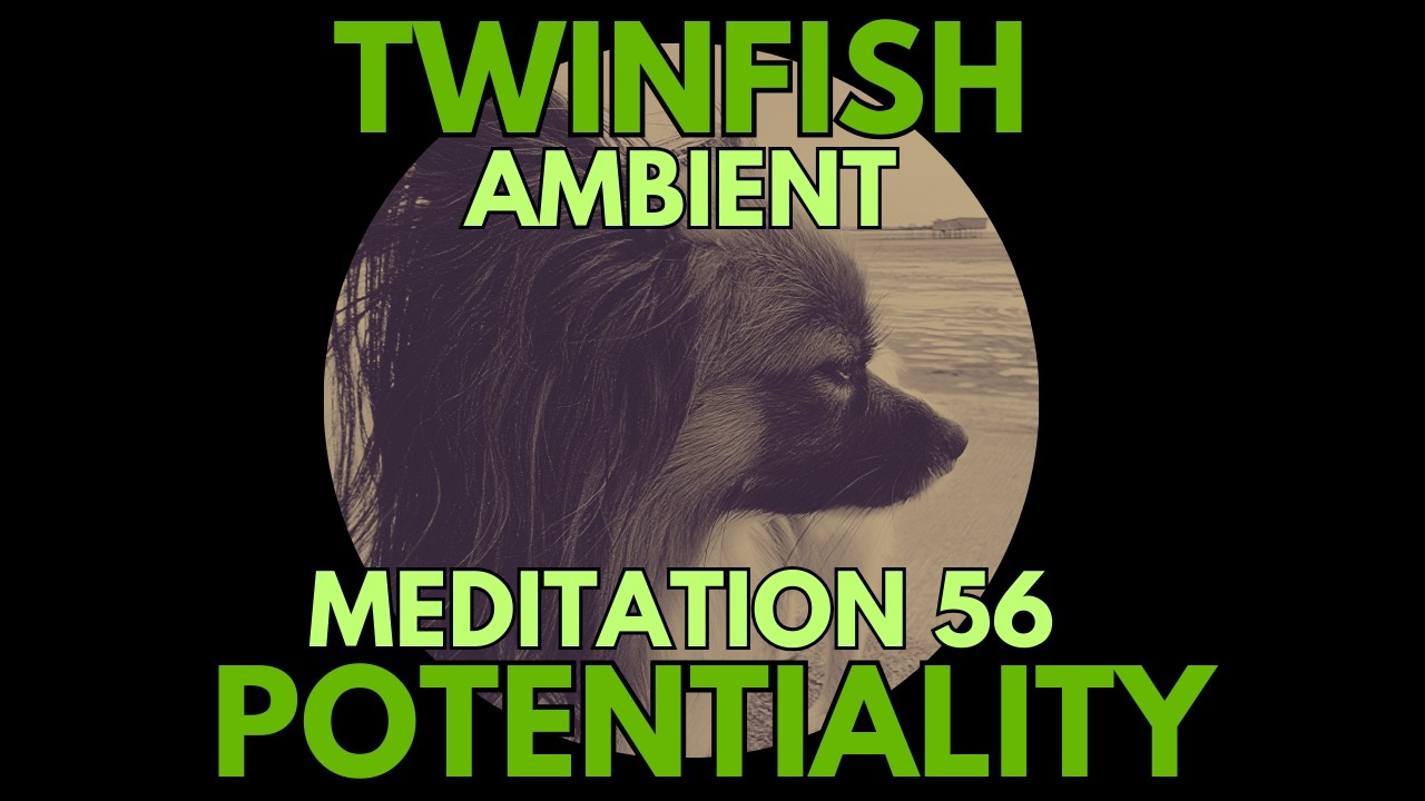 TwinFish - Meditation 56 - Potentiality | Ambient meditation music with drones and 528hz solfeggio
