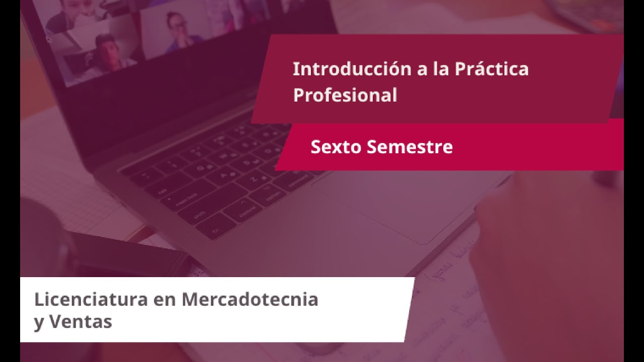 Introducción a la Práctica Profesional