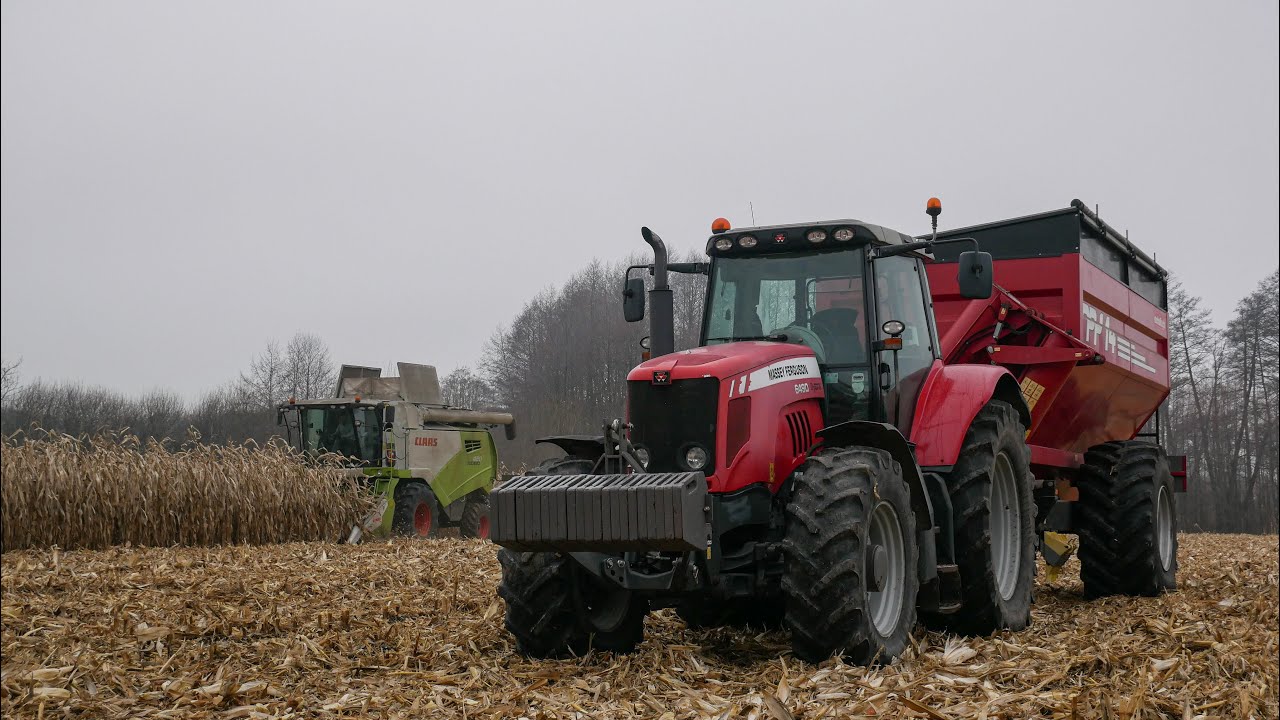 Kukurydza na ziarno 2025✓Claas tucano 420✓Massey Ferguson 6490 dyna 6✓Metaltech PP14
