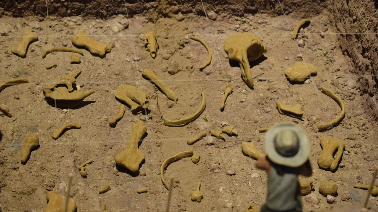 El proceso de la maqueta 