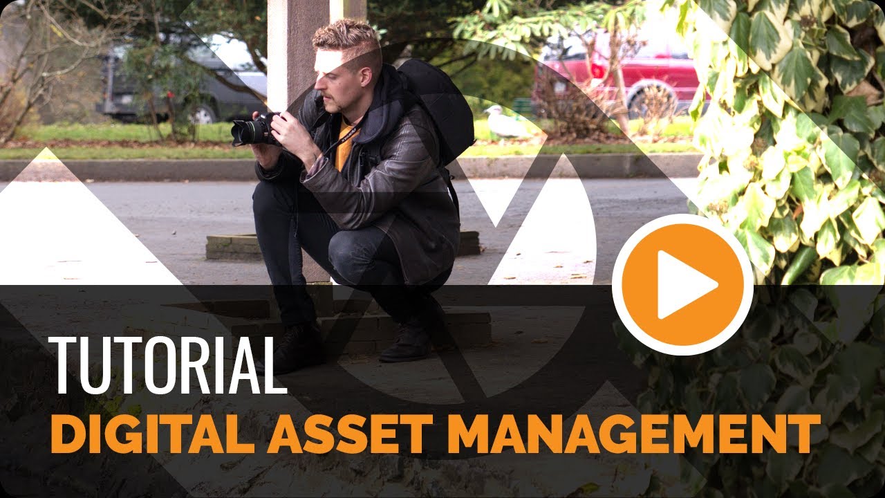 Digital Asset Management - Tutorial