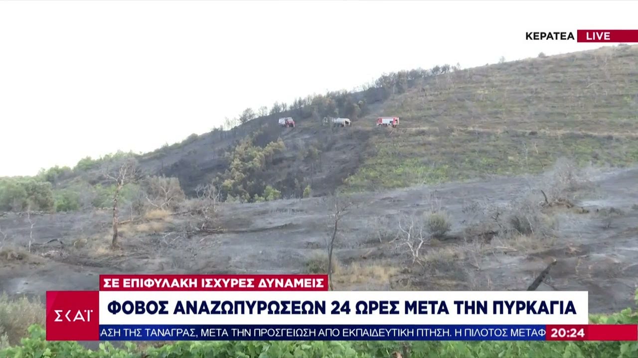 Οδοιπορικό του ΣΚΑΪ στην Κερατέα - Φόβος αναζωπυρώσεων 24 ώρες μετά την πυρκαγιά | Βραδινό δελτίο