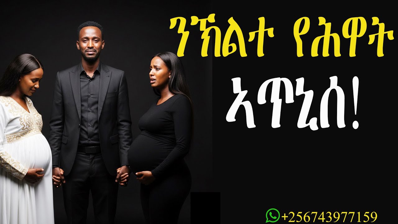 ንኽልተ የሕዋት ኣጥኒሰ! #mahustar #alphaproduction #zantalibi