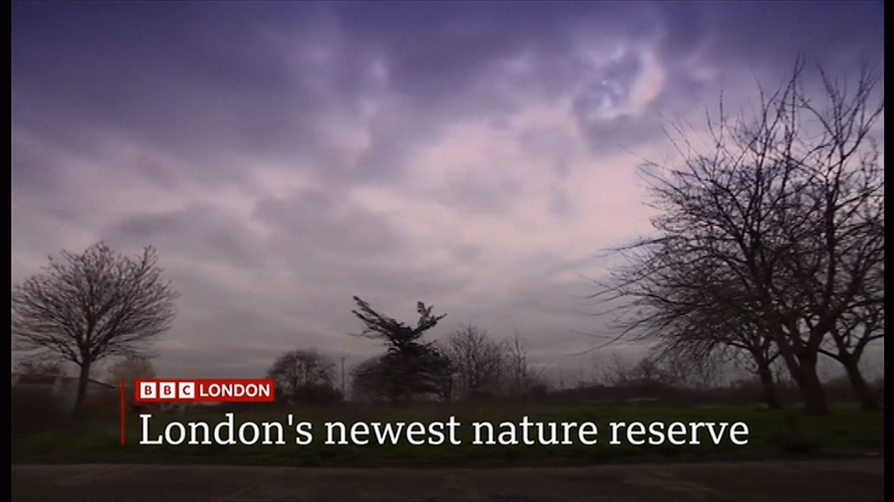 London's newest nature reserve (Warren Farm park) (UK) 9/Mar/2026