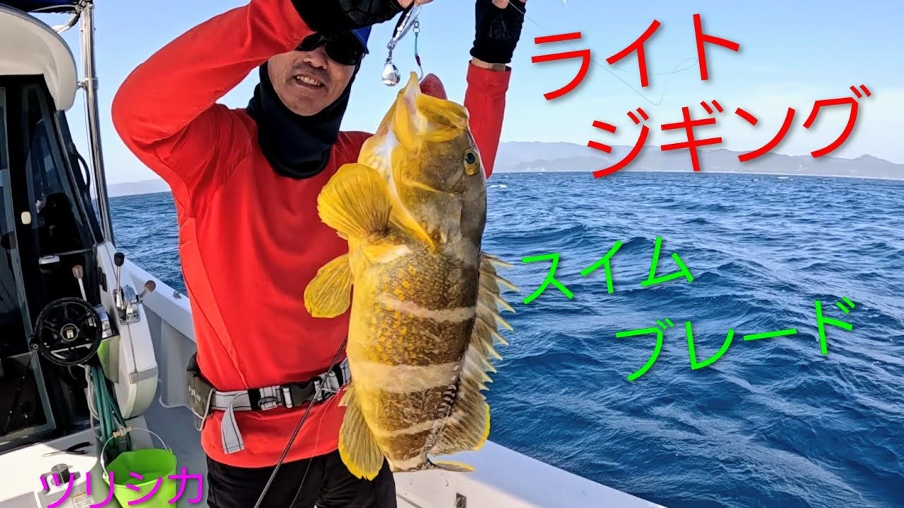 近海のライトジギング　新型ブレードジグの実力を見た❕　　　　　　ツリシカ