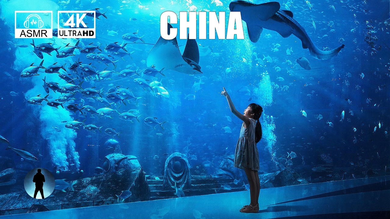 🚶  China 4K｜Walking tour of Atlantis Aquarium｜Relax｜POV｜No talking, no singing｜China street view｜