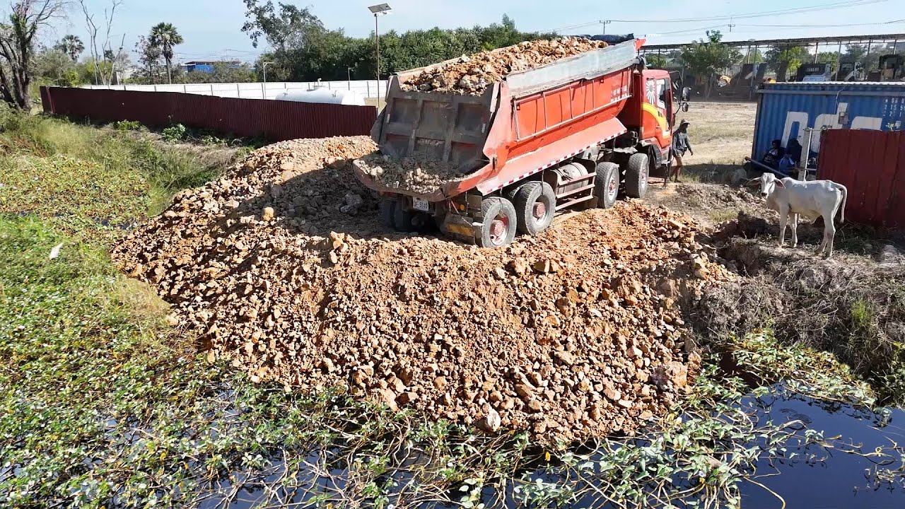 Excelent Huge JOB! Land filling by Expert Bulldozer & Heavy DumpTrucks Process